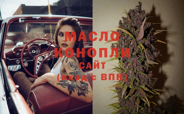 эйфоретик Гусь-Хрустальный