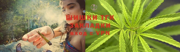 гидра Горнозаводск