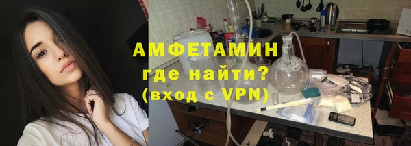эйфоретик Гусь-Хрустальный