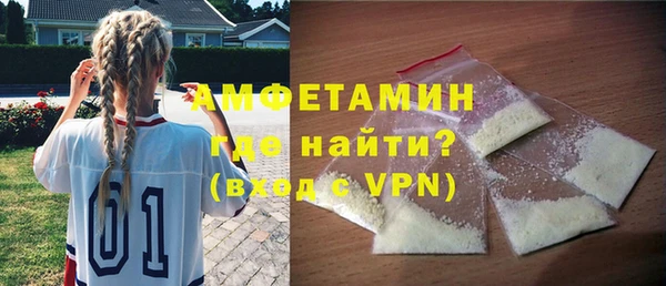 эйфоретик Гусь-Хрустальный