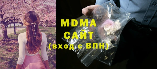 эйфоретик Гусь-Хрустальный