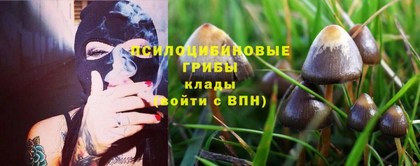 кокаин колумбия Гусев