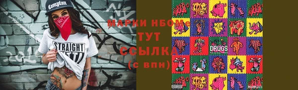 эйфоретик Гусь-Хрустальный