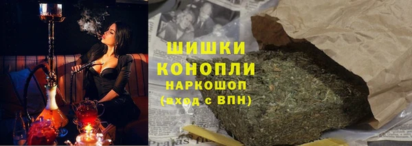 эйфоретик Гусь-Хрустальный